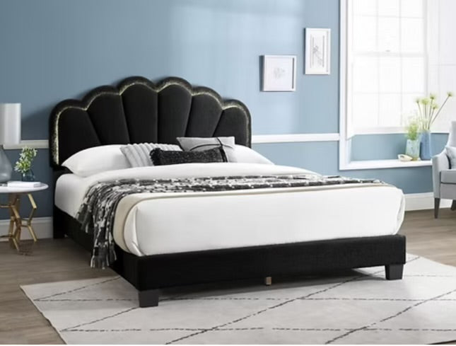 Platform Bed